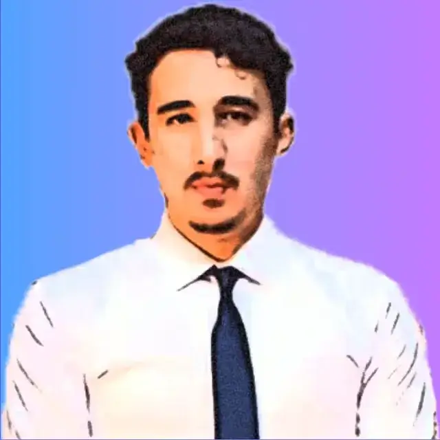 Ilyas Ouzrour avatar